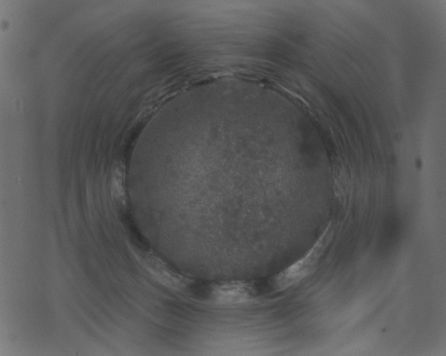 X0000070860175200606231302