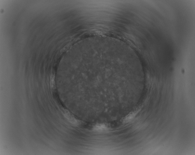 X0000070860177200606231302