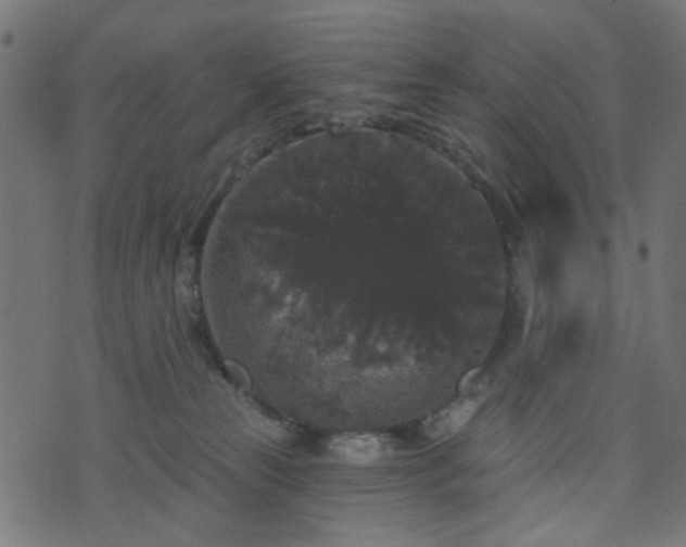 X0000070860181200606231302