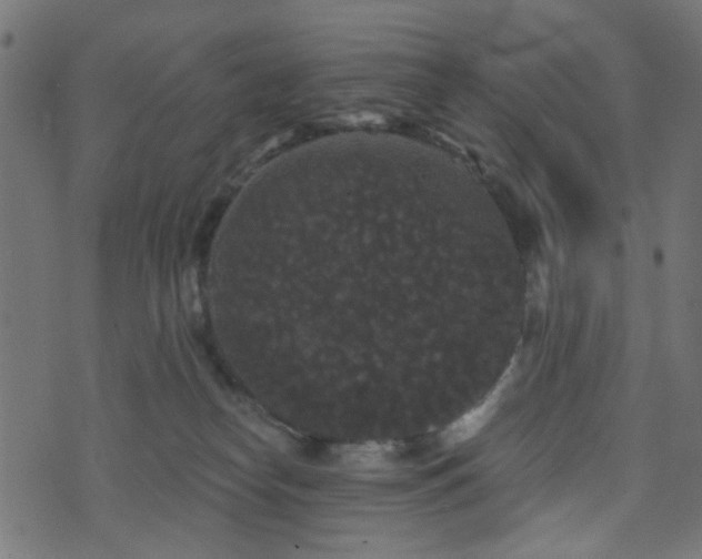 X0000070860182200606231302