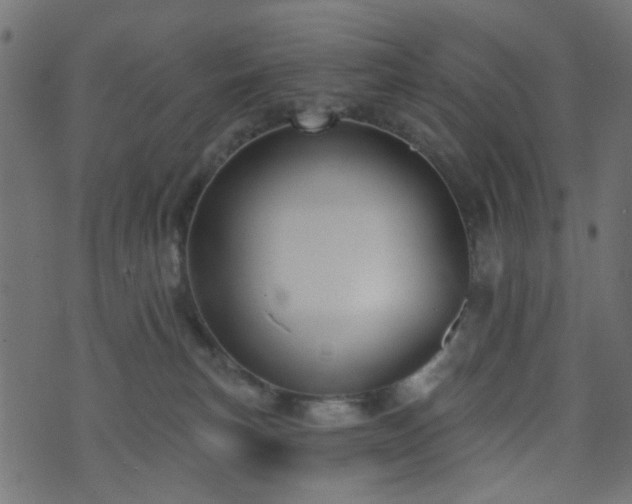 X0000070860183200606231302