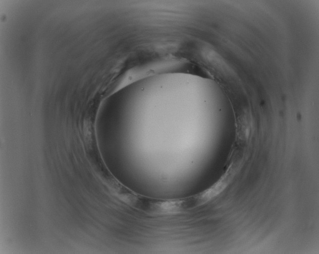 X0000070860184200606231302