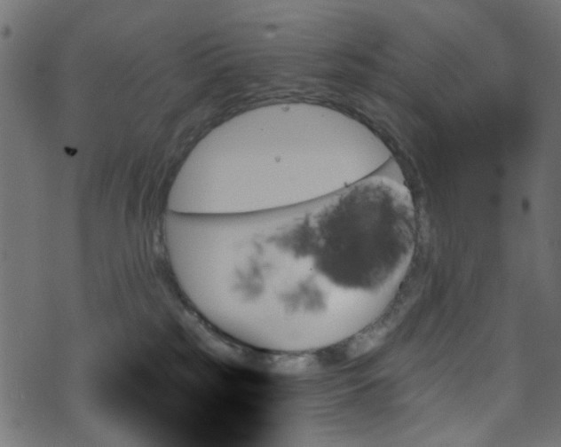 X0000070860185200606231302