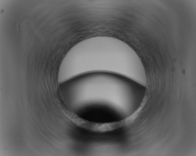 X0000070860186200606231302