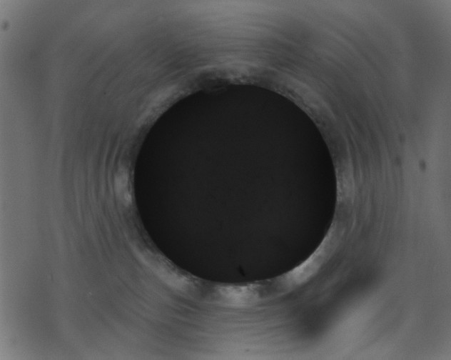 X0000070860187200606231302