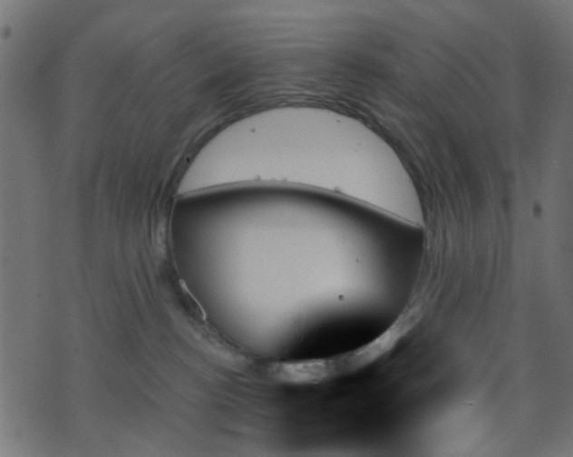 X0000070860188200606231302