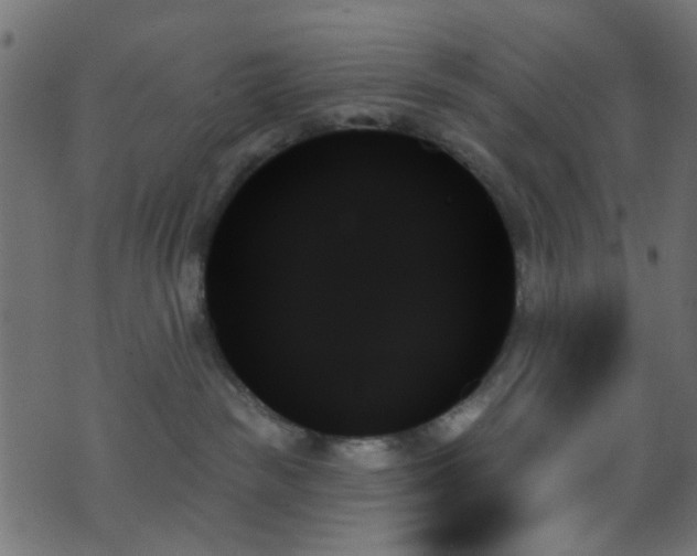 X0000070860189200606231302