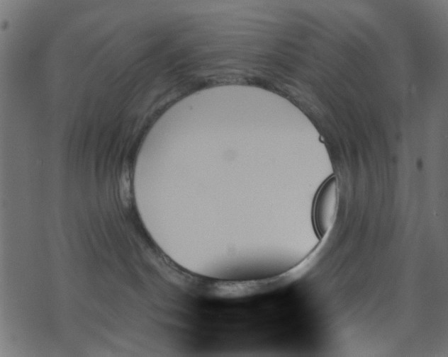 X0000070860190200606231302