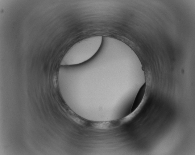 X0000070860191200606231302