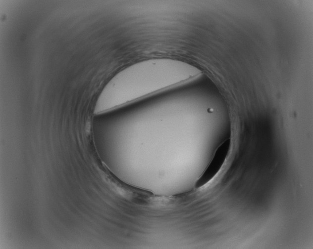 X0000070860192200606231302