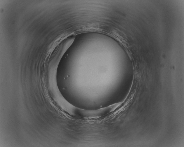 X0000070860193200606231301