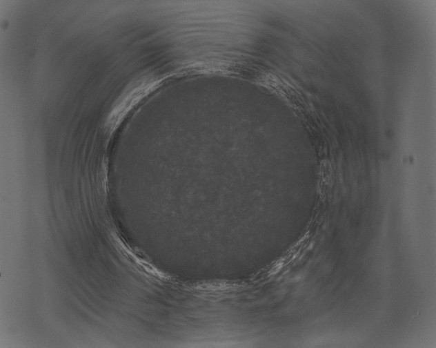 X0000070860194200606231301