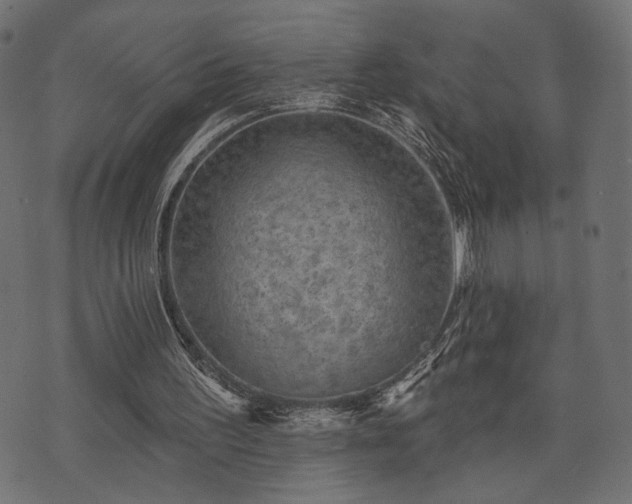 X0000070860195200606231301