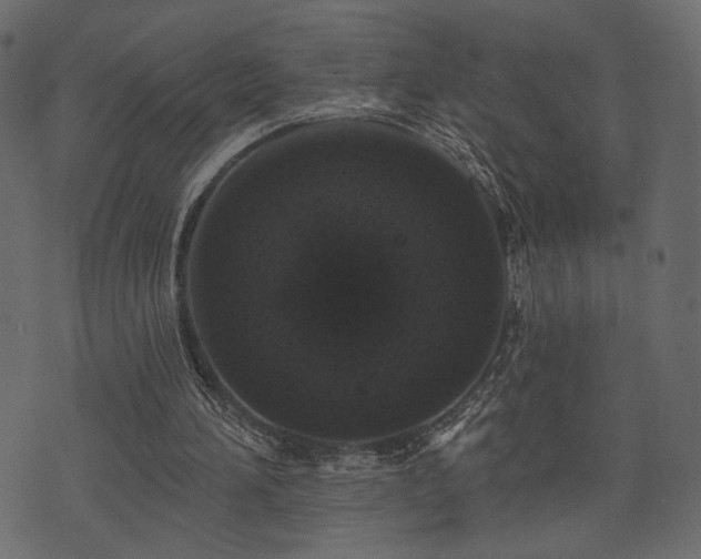 X0000070860196200606231301