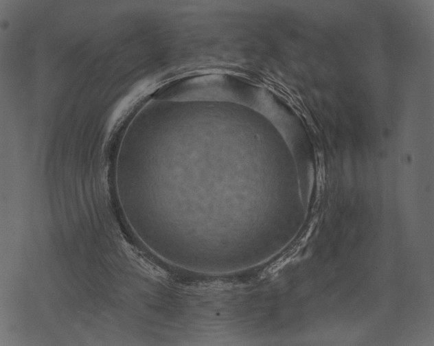 X0000070860197200606231301