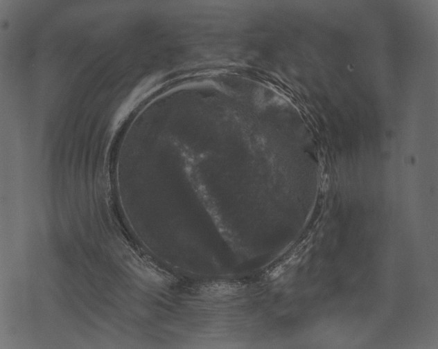 X0000070860198200606231301