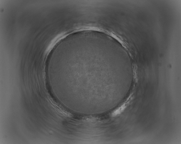 X0000070860199200606231301