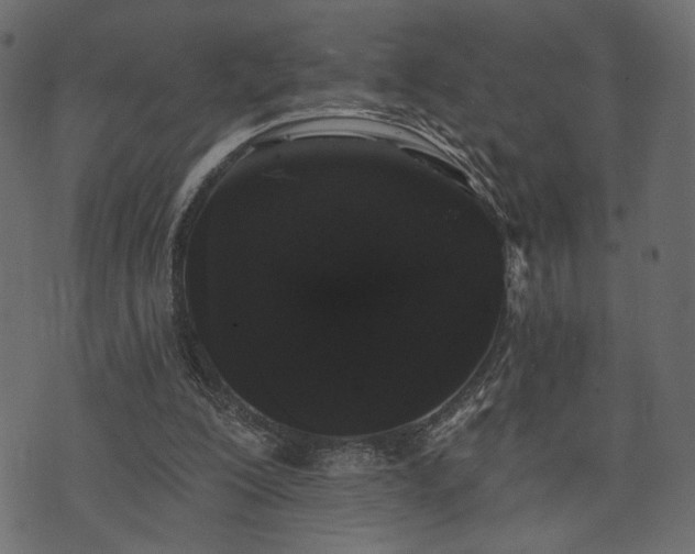 X0000070860200200606231301