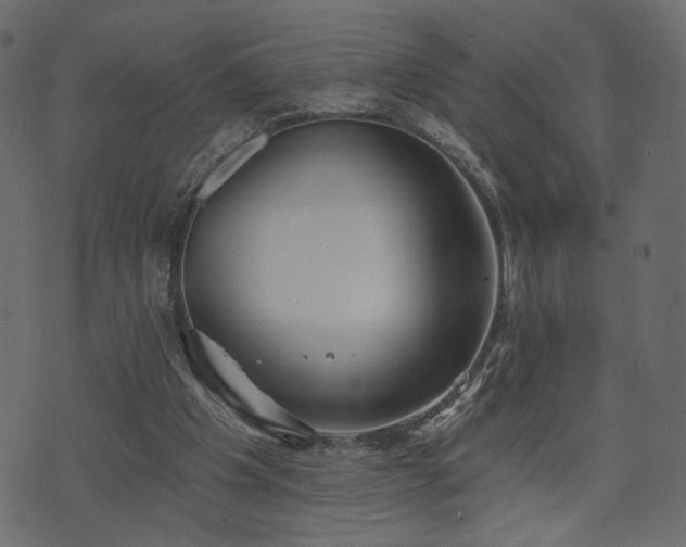 X0000070860201200606231301