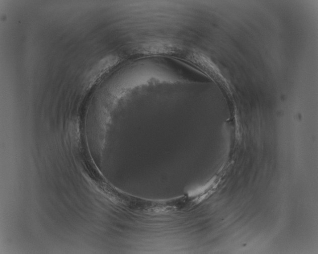 X0000070860202200606231301