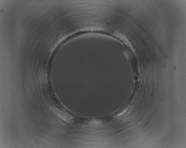 X0000070860204200606231301