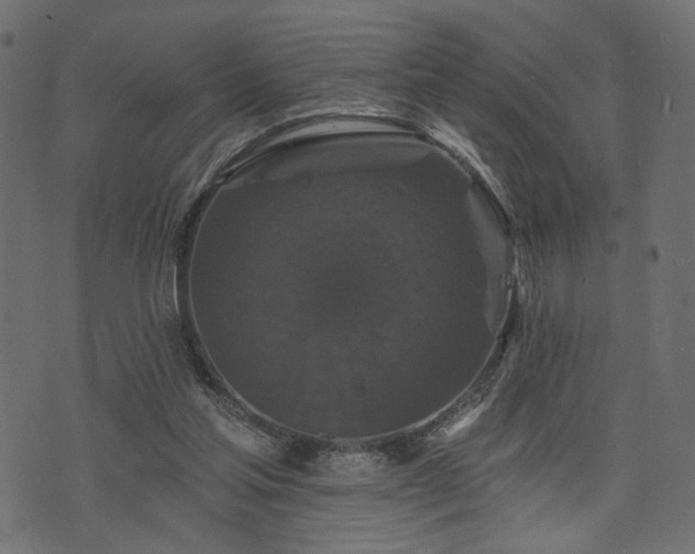 X0000070860205200606231301