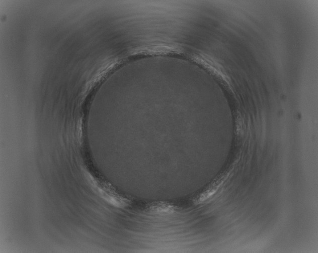 X0000070860206200606231301