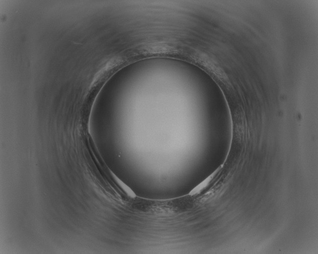 X0000070860207200606231301