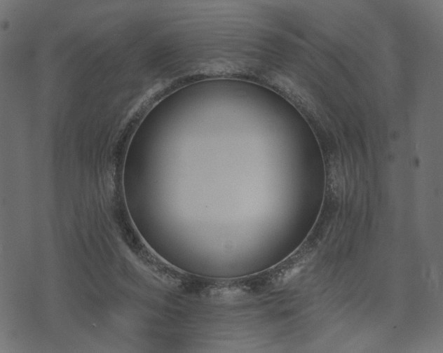 X0000070860208200606231301