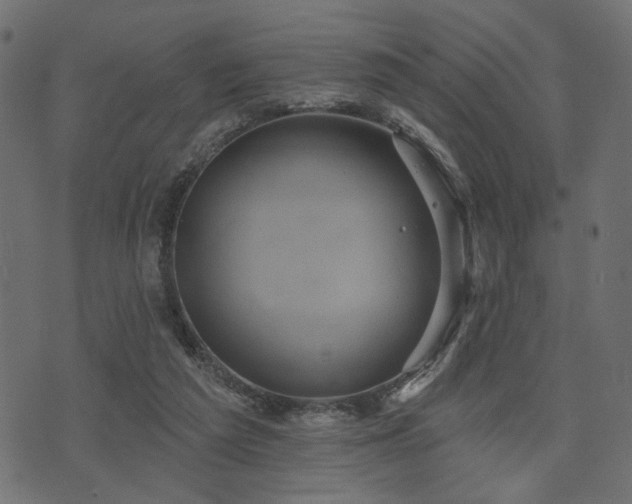 X0000070860209200606231301