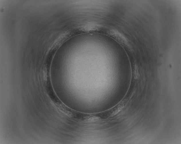 X0000070860210200606231301