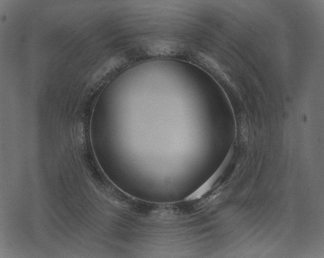 X0000070860211200606231301