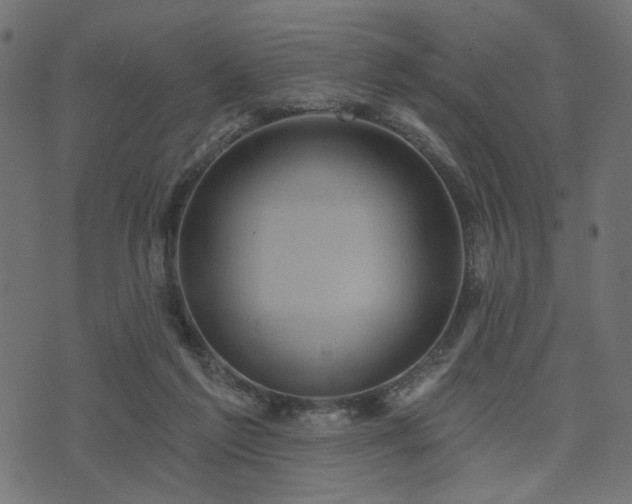 X0000070860213200606231301