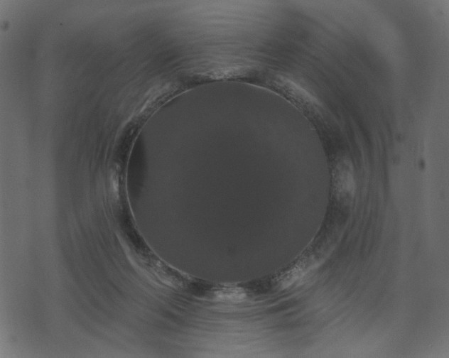 X0000070860214200606231301