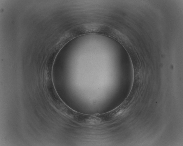 X0000070860215200606231301