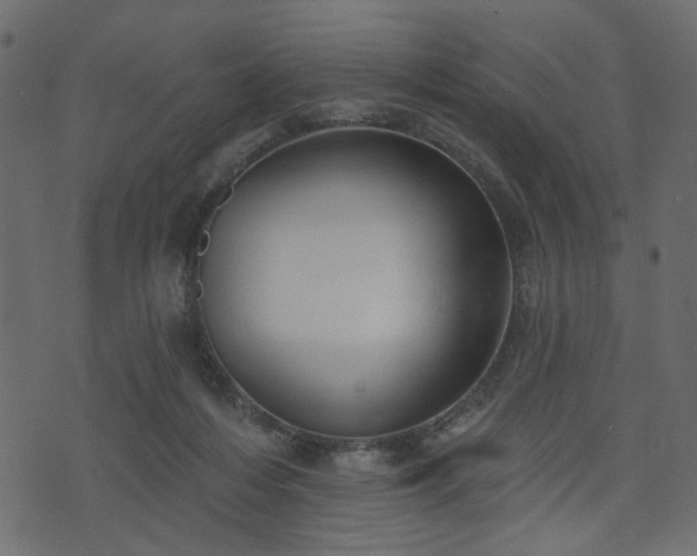 X0000070860216200606231301