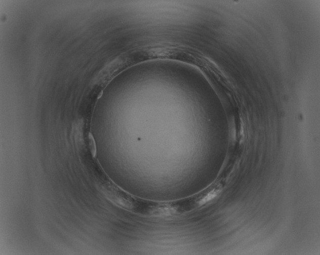 X0000070860217200606231301