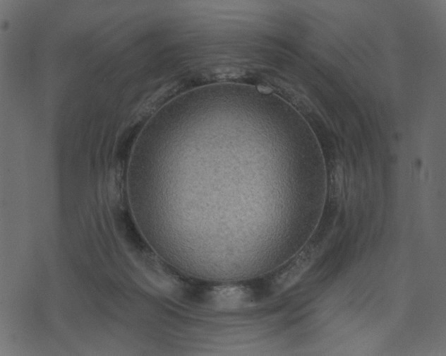 X0000070860218200606231301