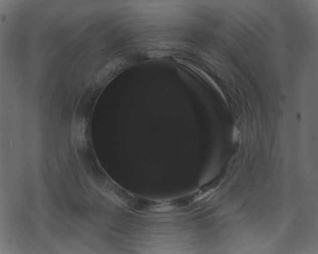 X0000070860219200606231301