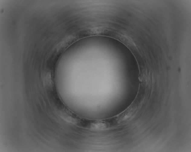 X0000070860220200606231301