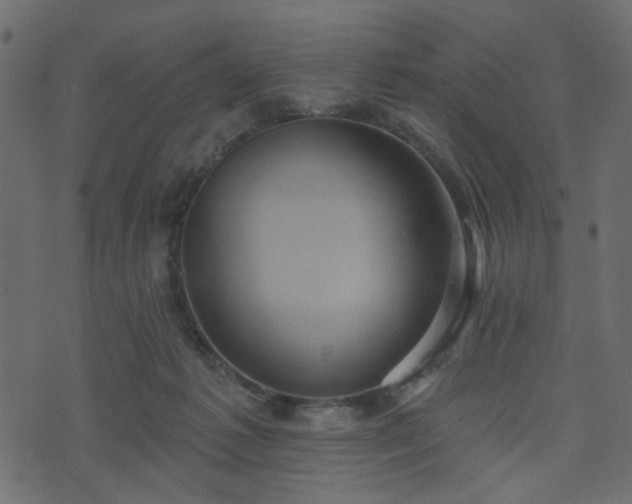 X0000070860221200606231301