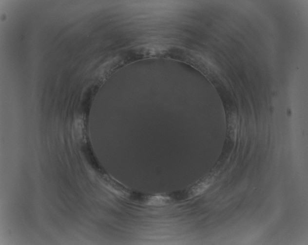 X0000070860222200606231301