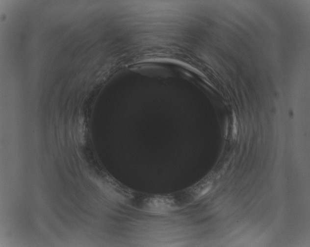 X0000070860223200606231301