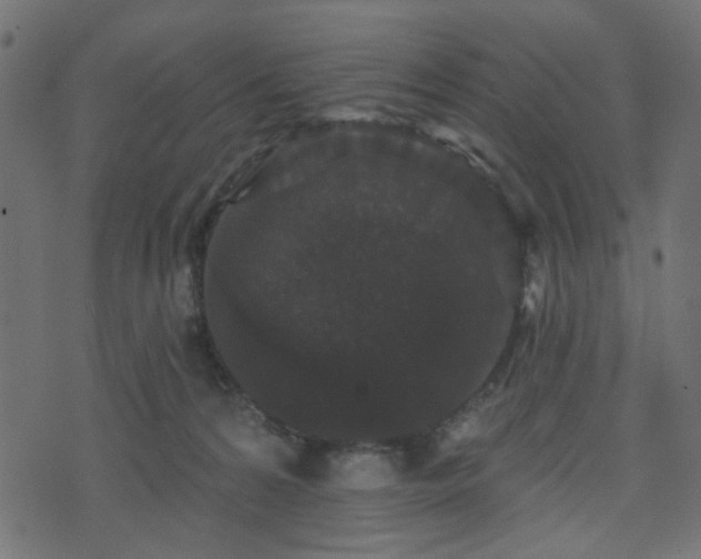 X0000070860224200606231301