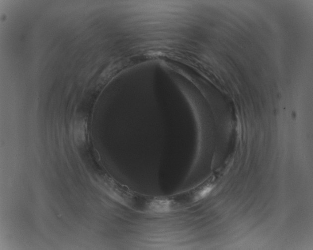 X0000070860227200606231301