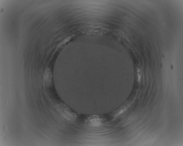 X0000070860228200606231301