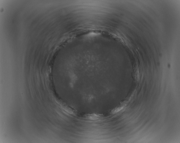 X0000070860229200606231301