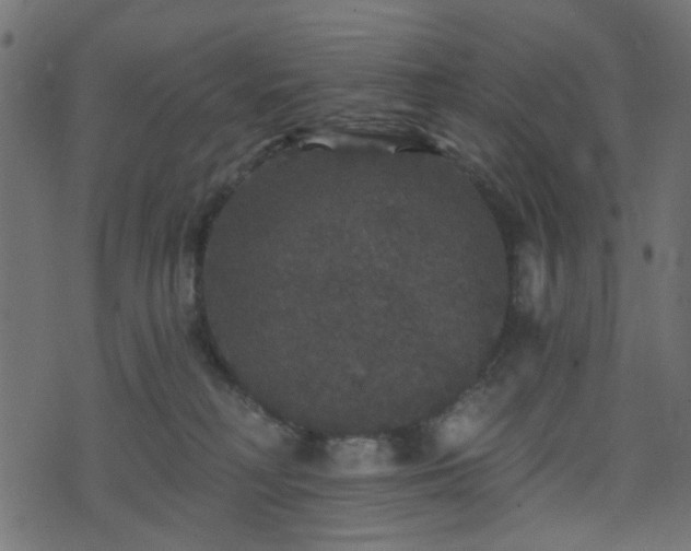 X0000070860230200606231301