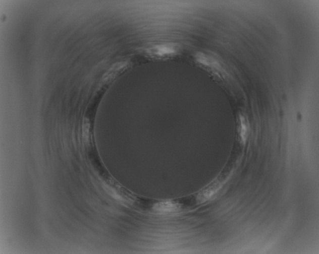 X0000070860231200606231301