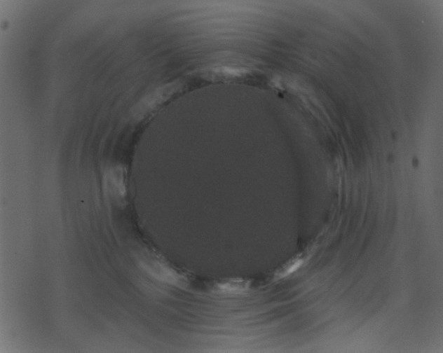 X0000070860232200606231301